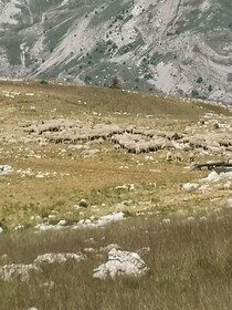 Chalet Bastilor