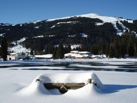 Alpen Sports