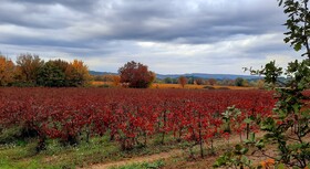 O Chalets De Provence
