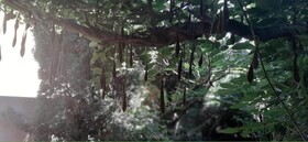Le Jardin De Fe Licie