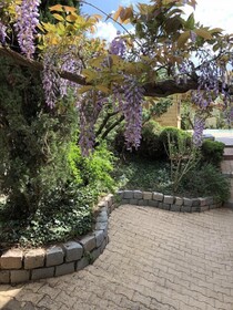 Le Jardin De Fe Licie
