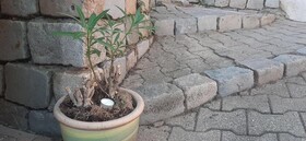Le Jardin De Fe Licie