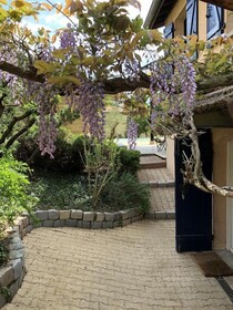 Le Jardin De Fe Licie
