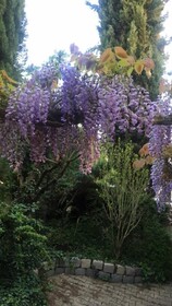 Le Jardin De Fe Licie