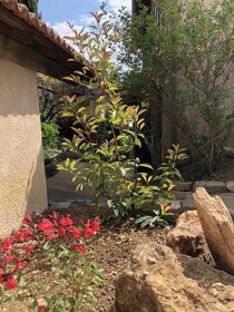 Le Jardin De Fe Licie