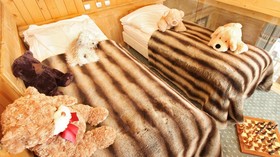 Le Samovar Hotel & Chalets