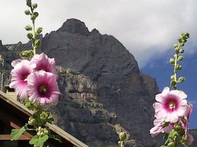 B&B La Borella Casa Conti