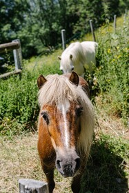 La Perle de L'Oisans