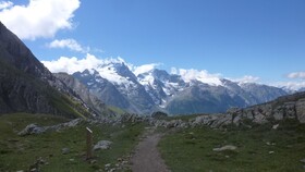 Les Agneaux