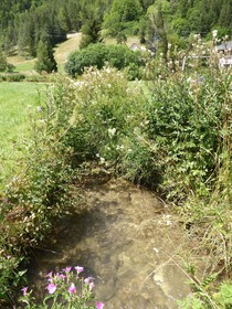 Ferme de la Grande Moucherolle