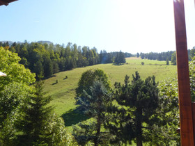 Les Gites Des Cochettes