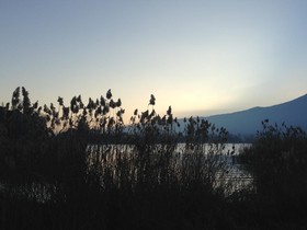 noemys Viviers-du-lac