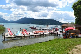 noemys Viviers-du-lac