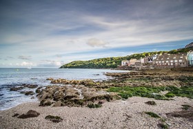 Blue Monkey Cornwall