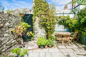 Blue Monkey Cornwall