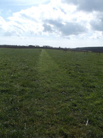 Condor Yurt Glamping