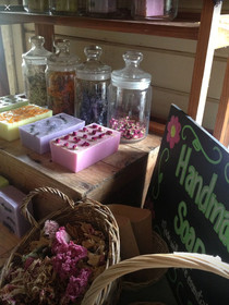 Green Cart Farm