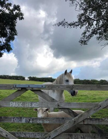 Green Cart Farm