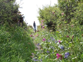 Cornish Valley View B&B