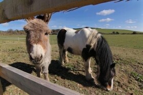 Merlin Farm Holiday Cottages