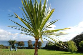 Trevalsa Court Hotel