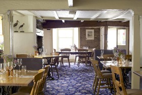 The Plume of Feathers
