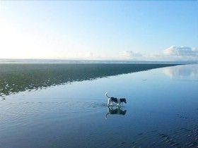 White Ocean