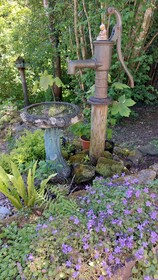 Wesley House Holiday Cottages