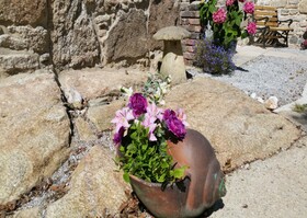 Wesley House Holiday Cottages