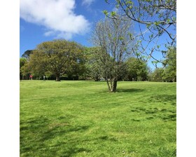 Cornish Holiday - 91 Hengar Manor