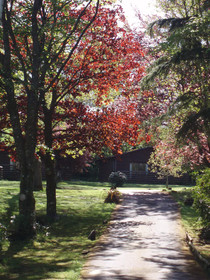 Ruthern Valley Holidays