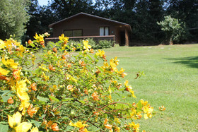Ruthern Valley Holidays