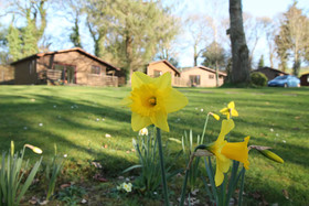 Ruthern Valley Holidays