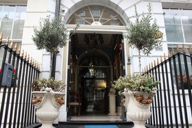 Opulence Central London