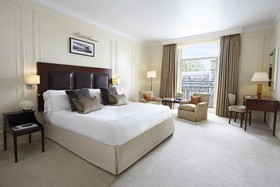 The Berkeley
