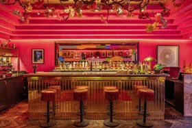 The Mandrake Hotel