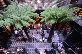 The Mandrake Hotel