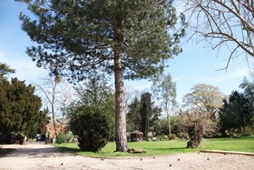 Sheephouse Manor