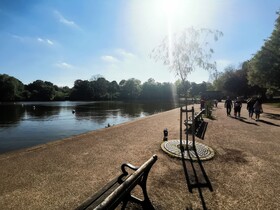 Langley Haven