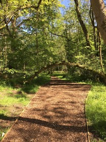 Westwood Country