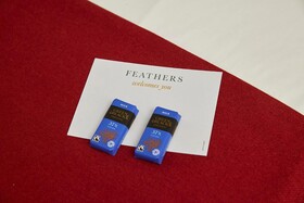 Feathers Inn