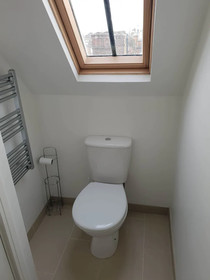Central Windsor Apartments
