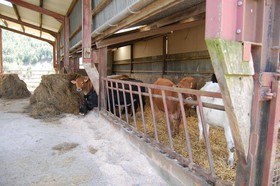 Middle Woodbatch Farm