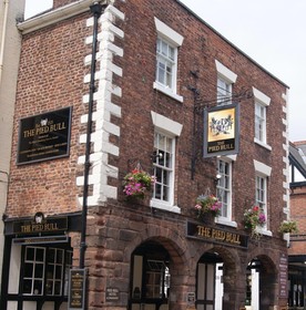 The Pied Bull