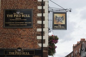 The Pied Bull