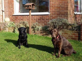 Manor Farm Stay