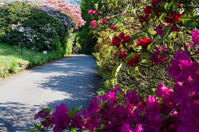 Lindeth Fell Country House
