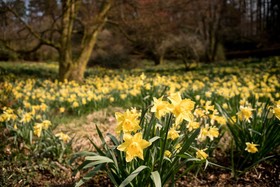 Lindeth Fell Country House