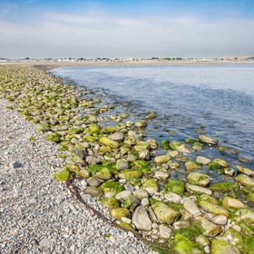 Cloughey Holiday Lodge