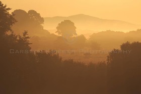 Ballyroney Cottage B&B